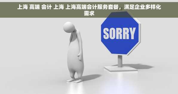 上海 高端 会计 上海 上海高端会计服务套餐，满足企业多样化需求
