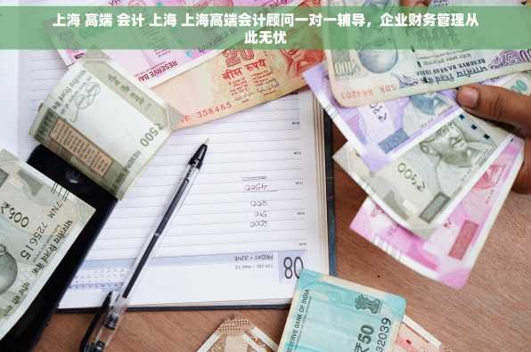 上海 高端 会计 上海 上海高端会计顾问一对一辅导，企业财务管理从此无忧