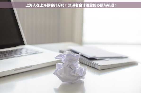 上海人在上海做会计好吗？资深老会计透露的心酸与机遇！
