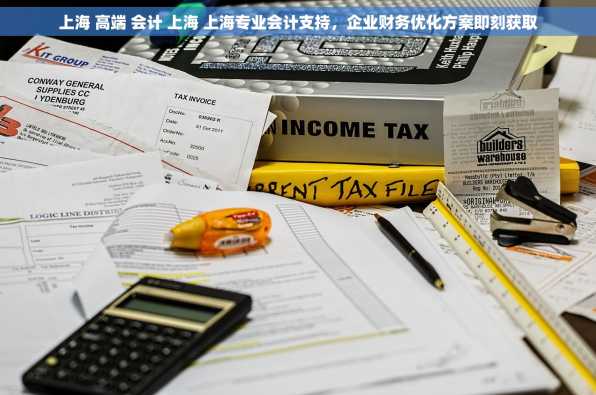 上海 高端 会计 上海 上海专业会计支持，企业财务优化方案即刻获取