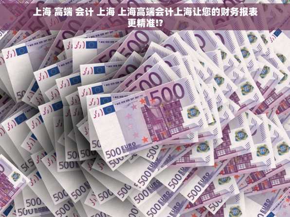 上海 高端 会计 上海 上海高端会计上海让您的财务报表更精准!?