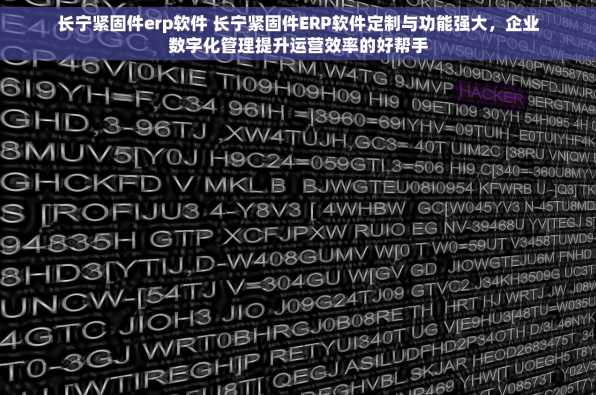 长宁紧固件erp软件 长宁紧固件ERP软件定制与功能强大，企业数字化管理提升运营效率的好帮手