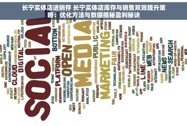 长宁实体店进销存 长宁实体店库存与销售双效提升策略：优化方法与数据揭秘盈利秘诀