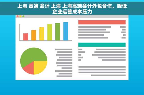 上海 高端 会计 上海 上海高端会计外包合作，降低企业运营成本压力