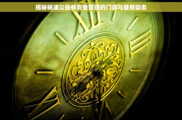 揭秘杨浦公益林资金管理的门道与最新动态
