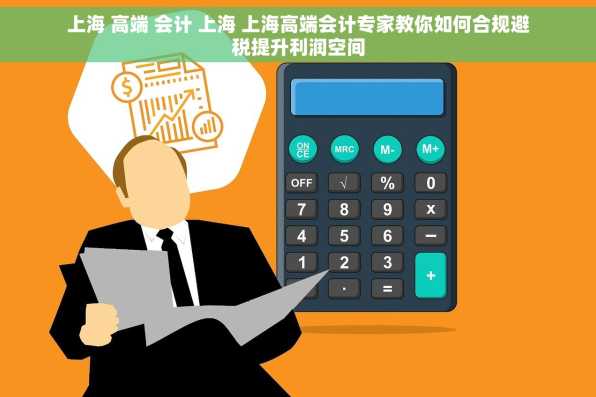 上海 高端 会计 上海 上海高端会计专家教你如何合规避税提升利润空间