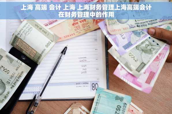 上海 高端 会计 上海 上海财务管理上海高端会计在财务管理中的作用