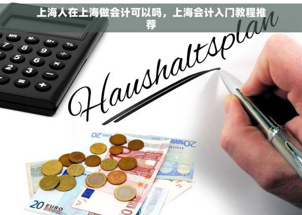 上海人在上海做会计可以吗，上海会计入门教程推荐