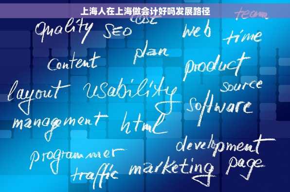 上海人在上海做会计好吗发展路径
