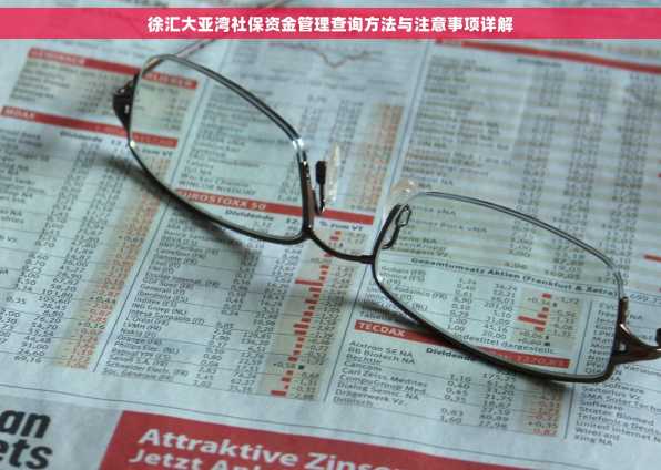 徐汇大亚湾社保资金管理查询方法与注意事项详解