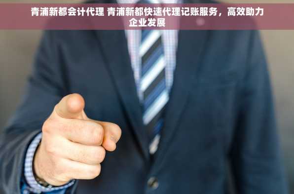 青浦新都会计代理 青浦新都快速代理记账服务，高效助力企业发展