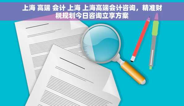 上海 高端 会计 上海 上海高端会计咨询，精准财税规划今日咨询立享方案