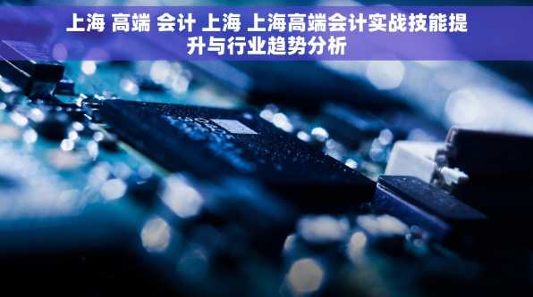 上海 高端 会计 上海 上海高端会计实战技能提升与行业趋势分析