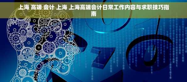 上海 高端 会计 上海 上海高端会计日常工作内容与求职技巧指南