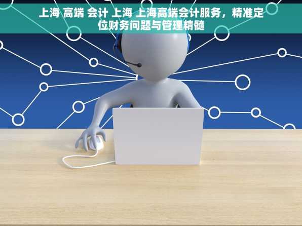 上海 高端 会计 上海 上海高端会计服务，精准定位财务问题与管理精髓