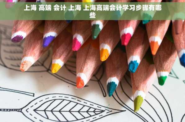 上海 高端 会计 上海 上海高端会计学习步骤有哪些