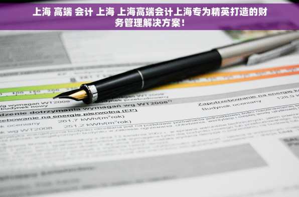 上海 高端 会计 上海 上海高端会计上海专为精英打造的财务管理解决方案！