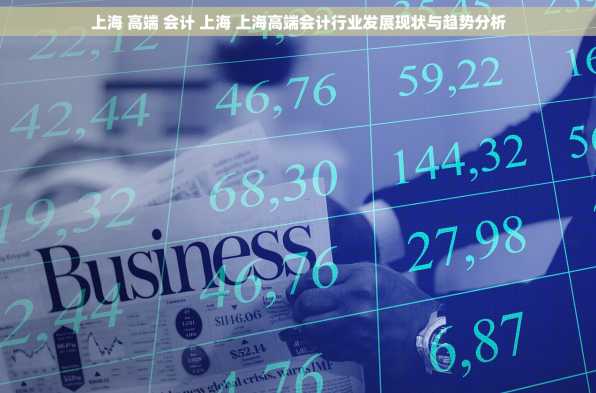 上海 高端 会计 上海 上海高端会计行业发展现状与趋势分析