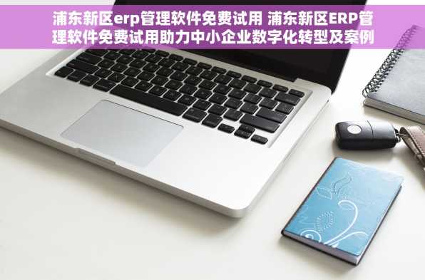 浦东新区erp管理软件免费试用 浦东新区ERP管理软件免费试用助力中小企业数字化转型及案例分享