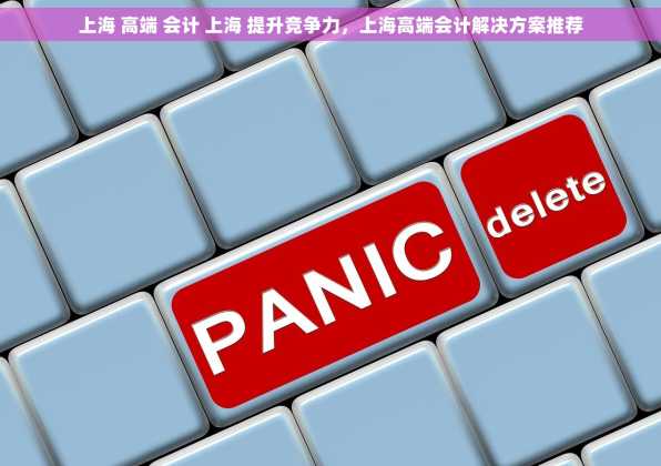 上海 高端 会计 上海 提升竞争力，上海高端会计解决方案推荐