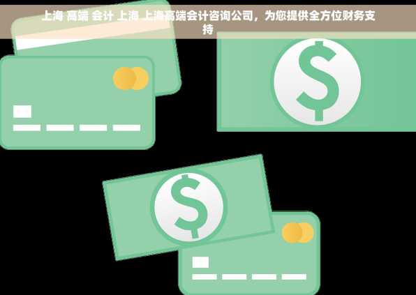 上海 高端 会计 上海 上海高端会计咨询公司，为您提供全方位财务支持