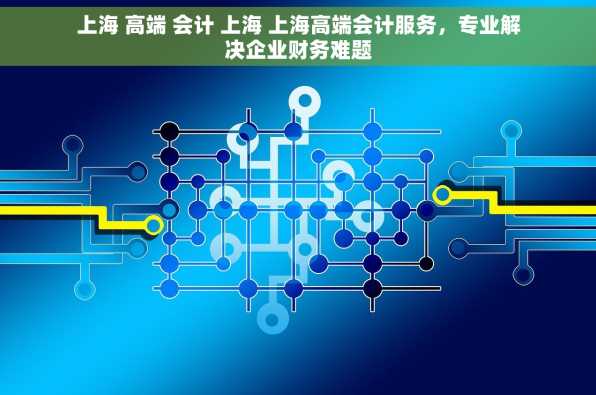上海 高端 会计 上海 上海高端会计服务，专业解决企业财务难题