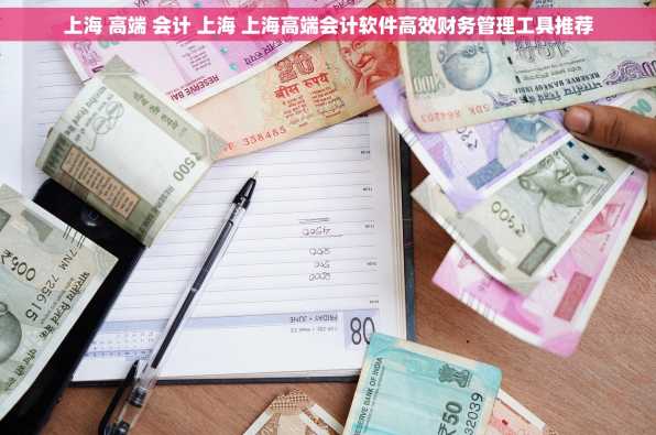 上海 高端 会计 上海 上海高端会计软件高效财务管理工具推荐