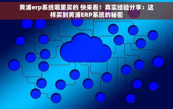 黄浦erp系统哪里买的 快来看！真实经验分享：这样买到黄浦ERP系统的秘密