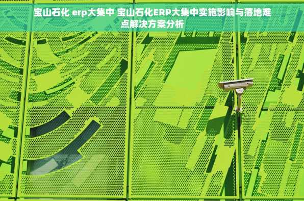 宝山石化 erp大集中 宝山石化ERP大集中实施影响与落地难点解决方案分析