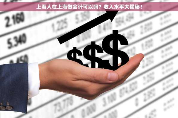 上海人在上海做会计可以吗？收入水平大揭秘！