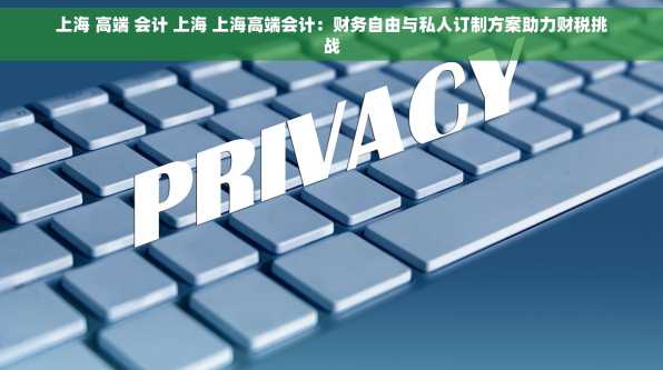 上海 高端 会计 上海 上海高端会计：财务自由与私人订制方案助力财税挑战