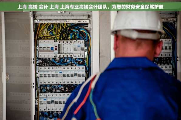 上海 高端 会计 上海 上海专业高端会计团队，为您的财务安全保驾护航