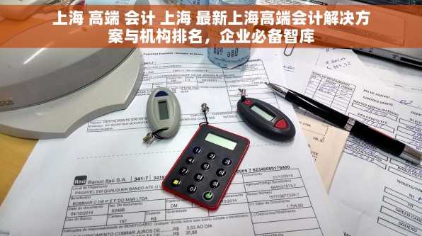 上海 高端 会计 上海 最新上海高端会计解决方案与机构排名，企业必备智库