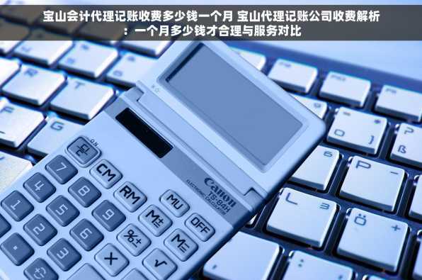 宝山会计代理记账收费多少钱一个月 宝山代理记账公司收费解析：一个月多少钱才合理与服务对比