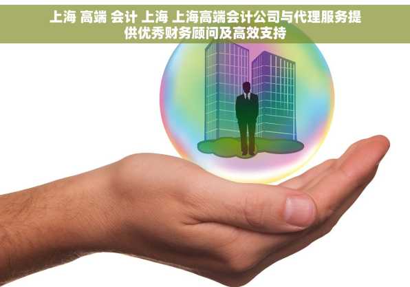 上海 高端 会计 上海 上海高端会计公司与代理服务提供优秀财务顾问及高效支持