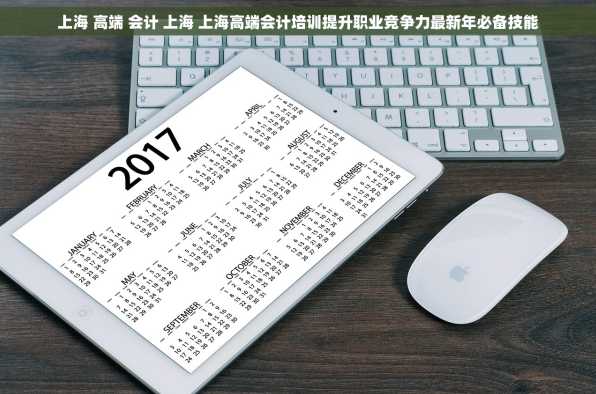 上海 高端 会计 上海 上海高端会计培训提升职业竞争力最新年必备技能