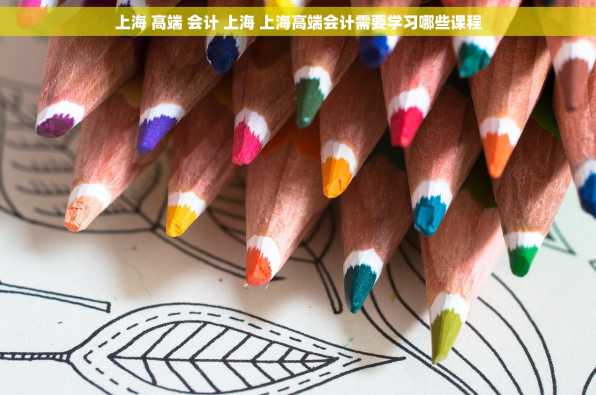 上海 高端 会计 上海 上海高端会计需要学习哪些课程