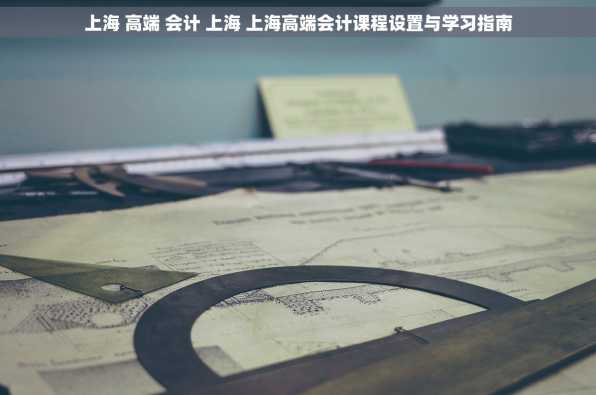 上海 高端 会计 上海 上海高端会计课程设置与学习指南