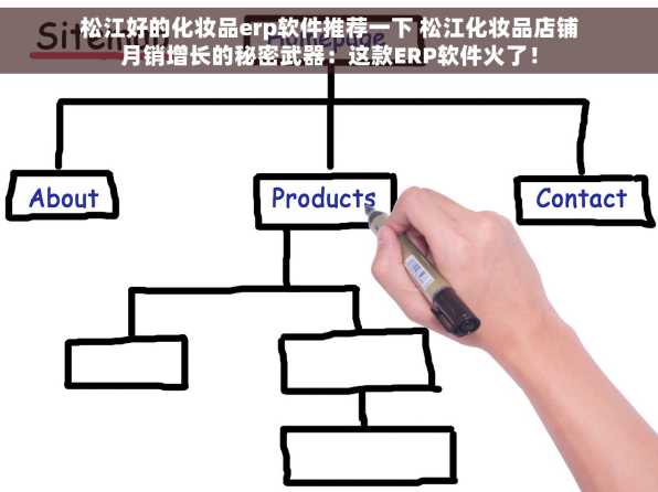 松江好的化妆品erp软件推荐一下 松江化妆品店铺月销增长的秘密武器：这款ERP软件火了！