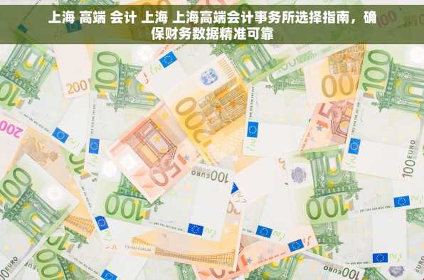 上海 高端 会计 上海 上海高端会计事务所选择指南，确保财务数据精准可靠