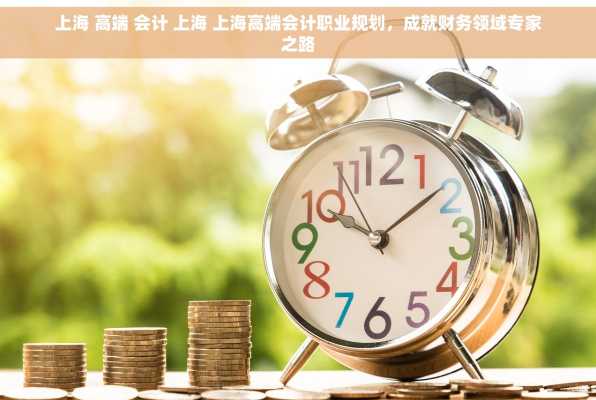 上海 高端 会计 上海 上海高端会计职业规划，成就财务领域专家之路