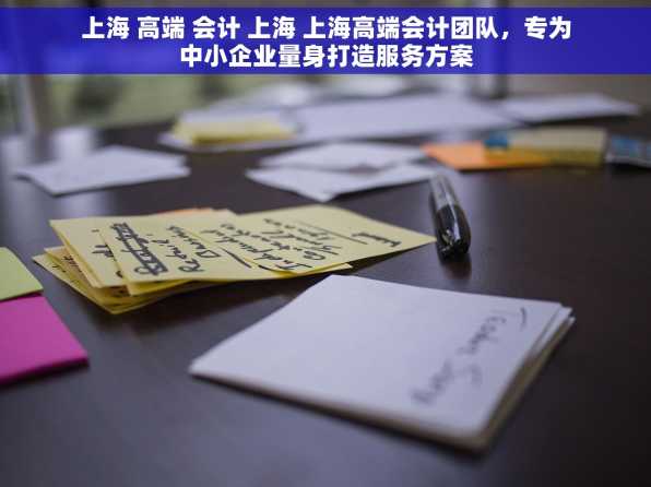 上海 高端 会计 上海 上海高端会计团队，专为中小企业量身打造服务方案