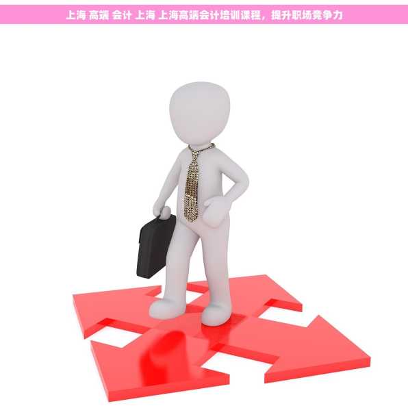 上海 高端 会计 上海 上海高端会计培训课程，提升职场竞争力