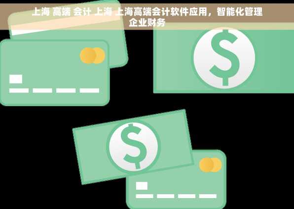 上海 高端 会计 上海 上海高端会计软件应用，智能化管理企业财务