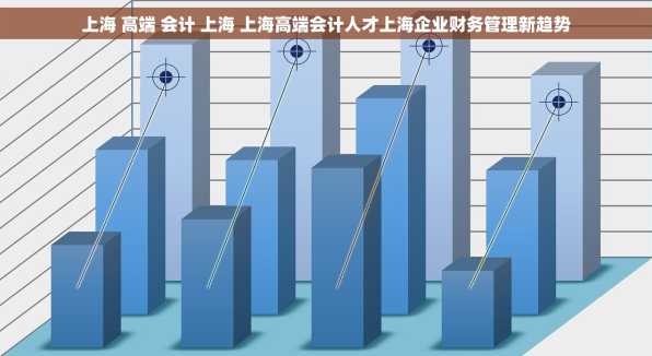 上海 高端 会计 上海 上海高端会计人才上海企业财务管理新趋势