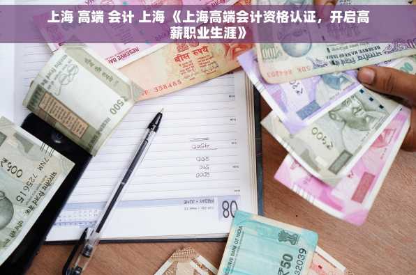 上海 高端 会计 上海 《上海高端会计资格认证，开启高薪职业生涯》