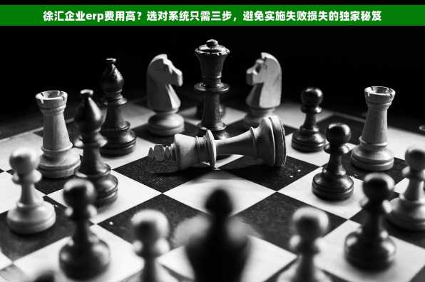 徐汇企业erp费用高？选对系统只需三步，避免实施失败损失的独家秘笈