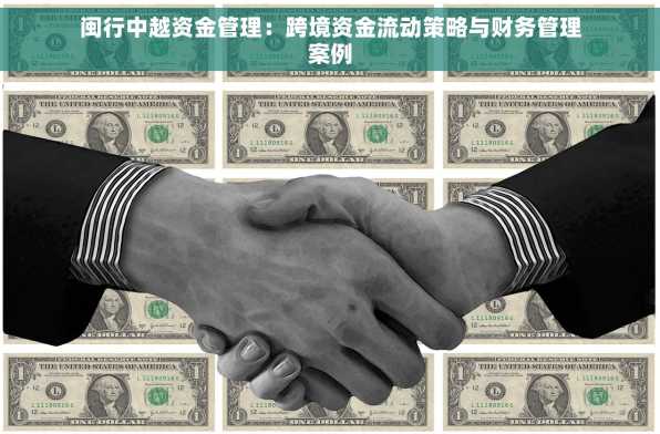 闽行中越资金管理：跨境资金流动策略与财务管理案例
