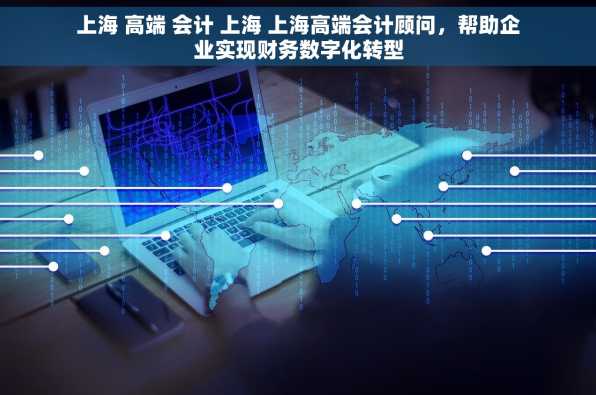 上海 高端 会计 上海 上海高端会计顾问，帮助企业实现财务数字化转型