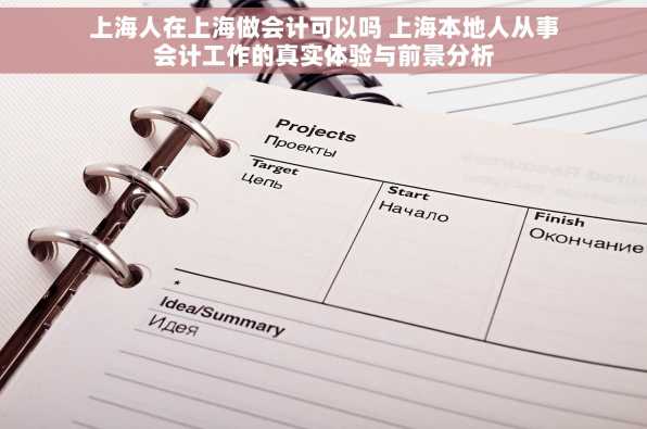 上海人在上海做会计可以吗 上海本地人从事会计工作的真实体验与前景分析
